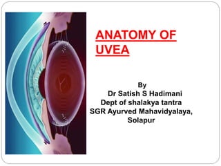 ANATOMY OF
UVEA
By
Dr Satish S Hadimani
Dept of shalakya tantra
SGR Ayurved Mahavidyalaya,
Solapur
 