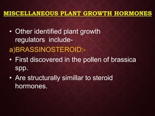 MISCELLANEOUS PLANT GROWTH HORMONES
• Other identified plant growth
regulators include-
a)BRASSINOSTEROID:-
• First discovered in the pollen of brassica
spp.
• Are structurally simillar to steroid
hormones.
 