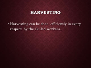 HARVESTING
• Harvesting can be done efficiently in every
respect by the skilled workers..
 