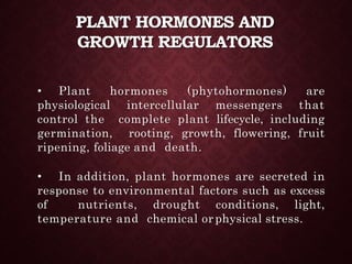 PLANT HORMONES AND
GROWTH REGULATORS
• Plant hormones (phytohormones) are
physiological intercellular messengers that
control the complete plant lifecycle, including
germination, rooting, growth, flowering, fruit
ripening, foliage and death.
• In addition, plant hormones are secreted in
response to environmental factors such as excess
of nutrients, drought conditions, light,
temperature and chemical orphysical stress.
 