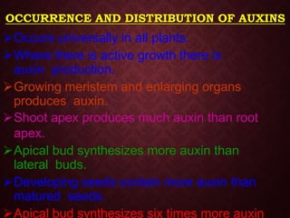 OCCURRENCE AND DISTRIBUTION OF AUXINS
Occurs universally in all plants.
Where there is active growth there is
auxin production.
Growing meristem and enlarging organs
produces auxin.
Shoot apex produces much auxin than root
apex.
Apical bud synthesizes more auxin than
lateral buds.
Developing seeds contain more auxin than
matured seeds.
Apical bud synthesizes six times more auxin
 