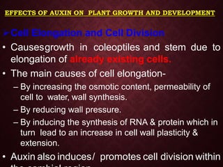 EFFECTS OF AUXIN ON PLANT GROWTH AND DEVELOPMENT
Cell Elongation and Cell Division
• Causesgrowth in coleoptiles and stem due to
elongation of already existing cells.
• The main causes of cell elongation-
– By increasing the osmotic content, permeability of
cell to water, wall synthesis.
– By reducing wall pressure.
– By inducing the synthesis of RNA & protein which in
turn lead to an increase in cell wall plasticity &
extension.
• Auxin also induces/ promotes cell division within
 