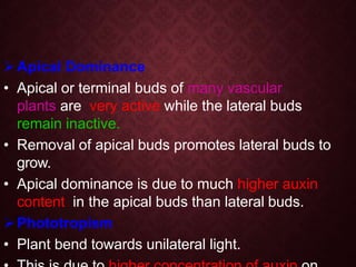 Apical Dominance
• Apical or terminal buds of many vascular
plants are very active while the lateral buds
remain inactive.
• Removal of apical buds promotes lateral buds to
grow.
• Apical dominance is due to much higher auxin
content in the apical buds than lateral buds.
Phototropism
• Plant bend towards unilateral light.
 