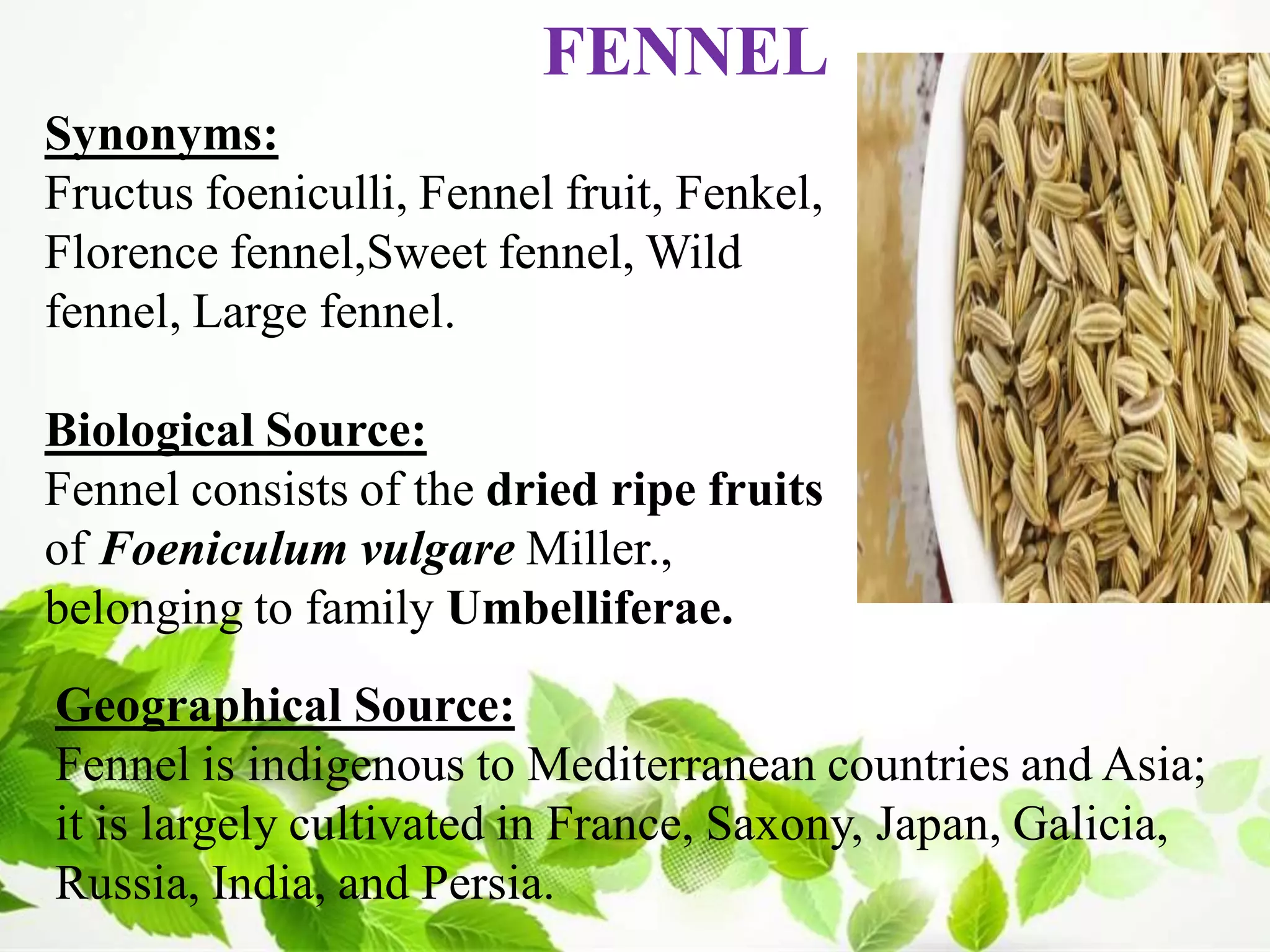 4.volatile oils | PDF