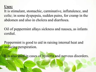 Uses:
It is stimulant, stomachic, carminative, inflatulence, and
colic; in some dyspepsia, sudden pains, for cramp in the
abdomen and also in cholera and diarrhoea.
Oil of peppermint allays sickness and nausea, as infants
cordial.
Peppermint is good to aid in raising internal heat and
inducing perspiration.
It is also used in cases of hysteria and nervous disorders.
 