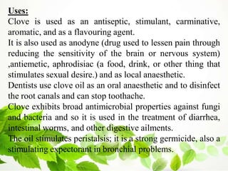 Uses:
Clove is used as an antiseptic, stimulant, carminative,
aromatic, and as a flavouring agent.
It is also used as anodyne (drug used to lessen pain through
reducing the sensitivity of the brain or nervous system)
,antiemetic, aphrodisiac (a food, drink, or other thing that
stimulates sexual desire.) and as local anaesthetic.
Dentists use clove oil as an oral anaesthetic and to disinfect
the root canals and can stop toothache.
Clove exhibits broad antimicrobial properties against fungi
and bacteria and so it is used in the treatment of diarrhea,
intestinal worms, and other digestive ailments.
The oil stimulates peristalsis; it is a strong germicide, also a
stimulating expectorant in bronchial problems.
 
