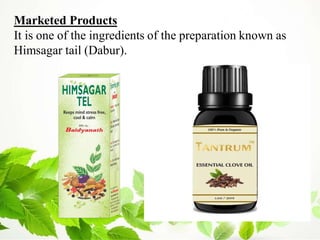 Marketed Products
It is one of the ingredients of the preparation known as
Himsagar tail (Dabur).
 