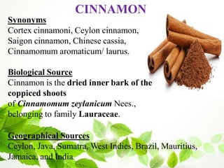 CINNAMON
Synonyms
Cortex cinnamoni, Ceylon cinnamon,
Saigon cinnamon, Chinese cassia,
Cinnamomum aromaticum/ laurus.
Biological Source
Cinnamon is the dried inner bark of the
coppiced shoots
of Cinnamomum zeylanicum Nees.,
belonging to family Lauraceae.
Geographical Sources
Ceylon, Java, Sumatra, West Indies, Brazil, Mauritius,
Jamaica, and India.
 