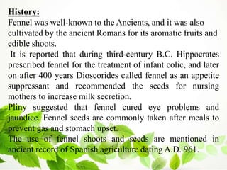 History:
Fennel was well-known to the Ancients, and it was also
cultivated by the ancient Romans for its aromatic fruits and
edible shoots.
It is reported that during third-century B.C. Hippocrates
prescribed fennel for the treatment of infant colic, and later
on after 400 years Dioscorides called fennel as an appetite
suppressant and recommended the seeds for nursing
mothers to increase milk secretion.
Pliny suggested that fennel cured eye problems and
jaundice. Fennel seeds are commonly taken after meals to
prevent gas and stomach upset.
The use of fennel shoots and seeds are mentioned in
ancient record of Spanish agriculture dating A.D. 961.
 