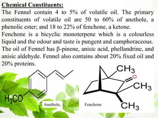 Chemical Constituents:
The Fennel contain 4 to 5% of volatile oil. The primary
constituents of volatile oil are 50 to 60% of anethole, a
phenolic ester; and 18 to 22% of fenchone, a ketone.
Fenchone is a bicyclic monoterpene which is a colourless
liquid and the odour and taste is pungent and camphoraceous.
The oil of Fennel has β-pinene, anisic acid, phellandrine, and
anisic aldehyde. Fennel also contains about 20% fixed oil and
20% proteins.
Anethole, Fenchone
 