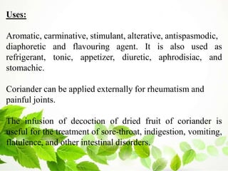 Uses:
Aromatic, carminative, stimulant, alterative, antispasmodic,
diaphoretic and flavouring agent. It is also used as
refrigerant, tonic, appetizer, diuretic, aphrodisiac, and
stomachic.
Coriander can be applied externally for rheumatism and
painful joints.
The infusion of decoction of dried fruit of coriander is
useful for the treatment of sore-throat, indigestion, vomiting,
flatulence, and other intestinal disorders.
 