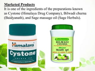 Marketed Products
It is one of the ingredients of the preparations known
as Cystone (Himalaya Drug Company), Bilwadi churna
(Baidyanath), and Sage massage oil (Sage Herbals).
 