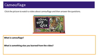 Camouflage
Click the picture to watch a video about camouflage and then answer the questions.
What is camouflage?
What is something else you learned from the video?
 