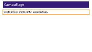 Camouflage
Insert 2 pictures of animals that use camouflage .
 