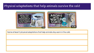 Physical adaptations that help animals survive the cold
Name at least 3 physical adaptations that help animals stay warm in the cold.
 