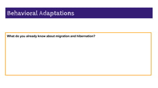 Behavioral Adaptations
What do you already know about migration and hibernation?
 