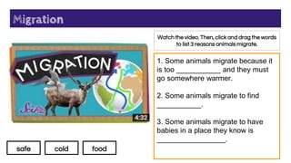 Migration
Watch the video. Then, click and drag the words
to list 3 reasons animals migrate.
1. Some animals migrate because it
is too ___________ and they must
go somewhere warmer.
2. Some animals migrate to find
___________.
3. Some animals migrate to have
babies in a place they know is
_________________.
safe cold food
 