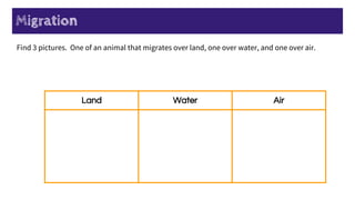 Migration
Land Water Air
Find 3 pictures. One of an animal that migrates over land, one over water, and one over air.
 
