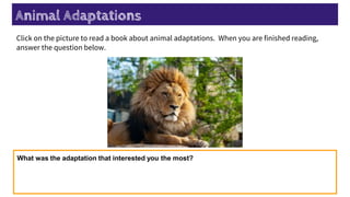 Animal Adaptations
Click on the picture to read a book about animal adaptations. When you are finished reading,
answer the question below.
What was the adaptation that interested you the most?
 