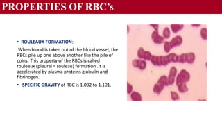 Physiology of Blood | PPTX