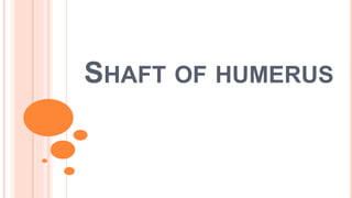 SHAFT OF HUMERUS
 