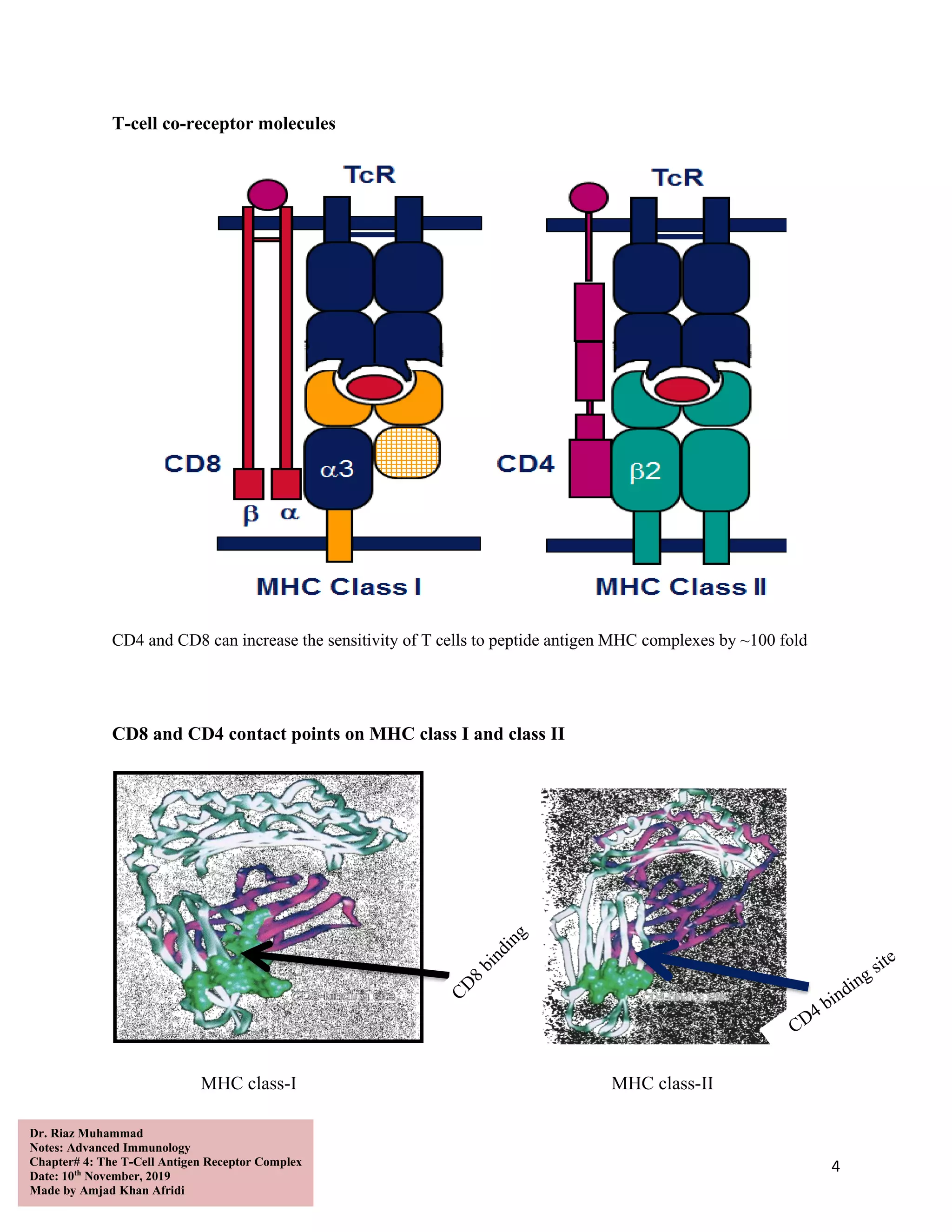 The T-Cell Antigen Receptor Complex | PDF