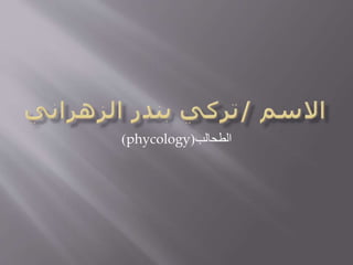 ‫الطحالب‬(phycology)
 