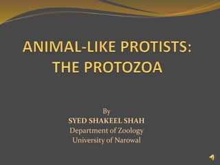 By
SYED SHAKEEL SHAH
Department of Zoology
University of Narowal
 