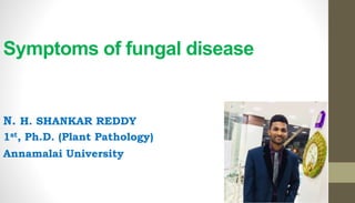 Symptoms of fungal disease
N. H. SHANKAR REDDY
1st, Ph.D. (Plant Pathology)
Annamalai University
 