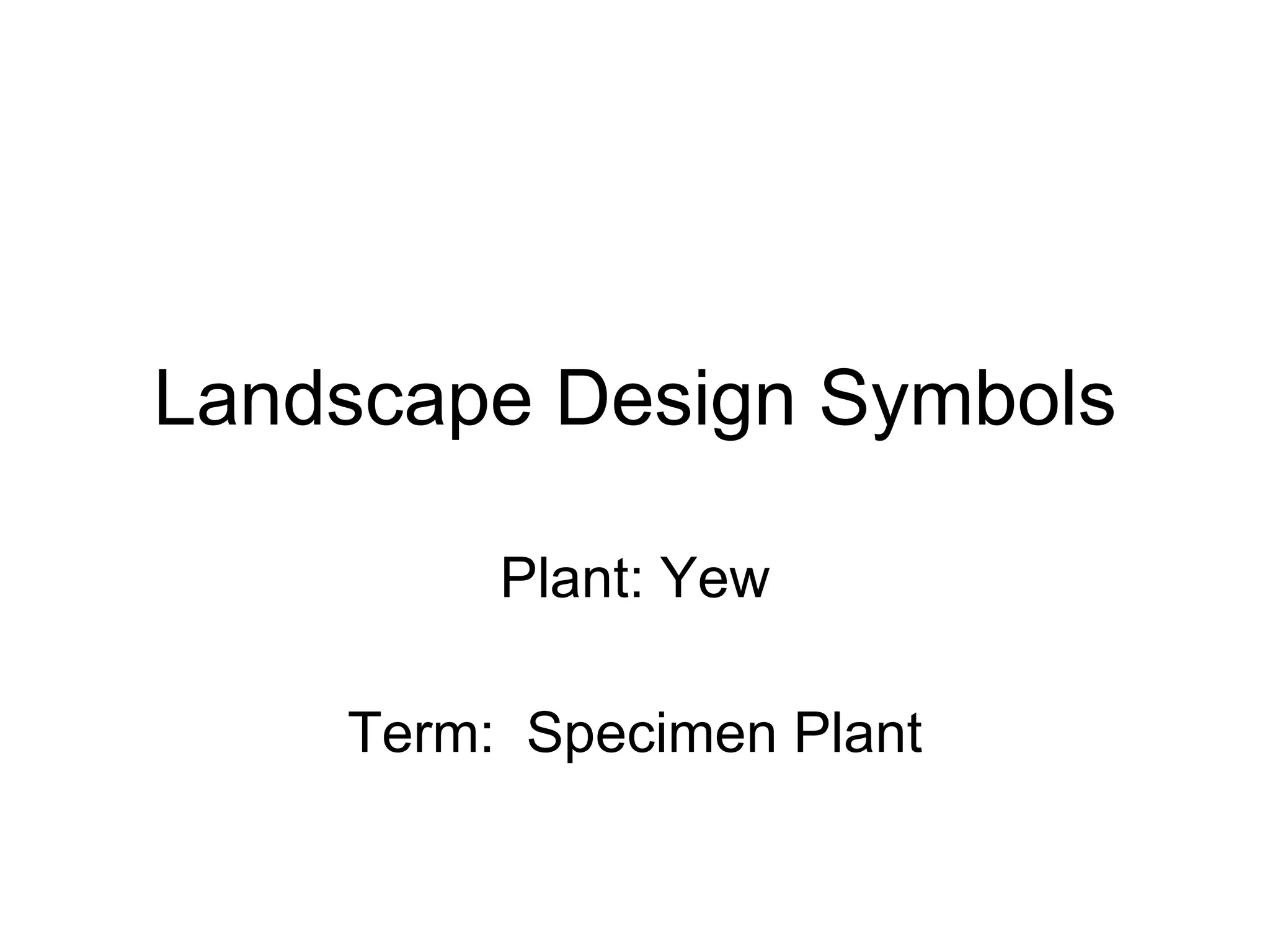 Landscape Design Symbols Plant: Yew Term: Specimen Plant