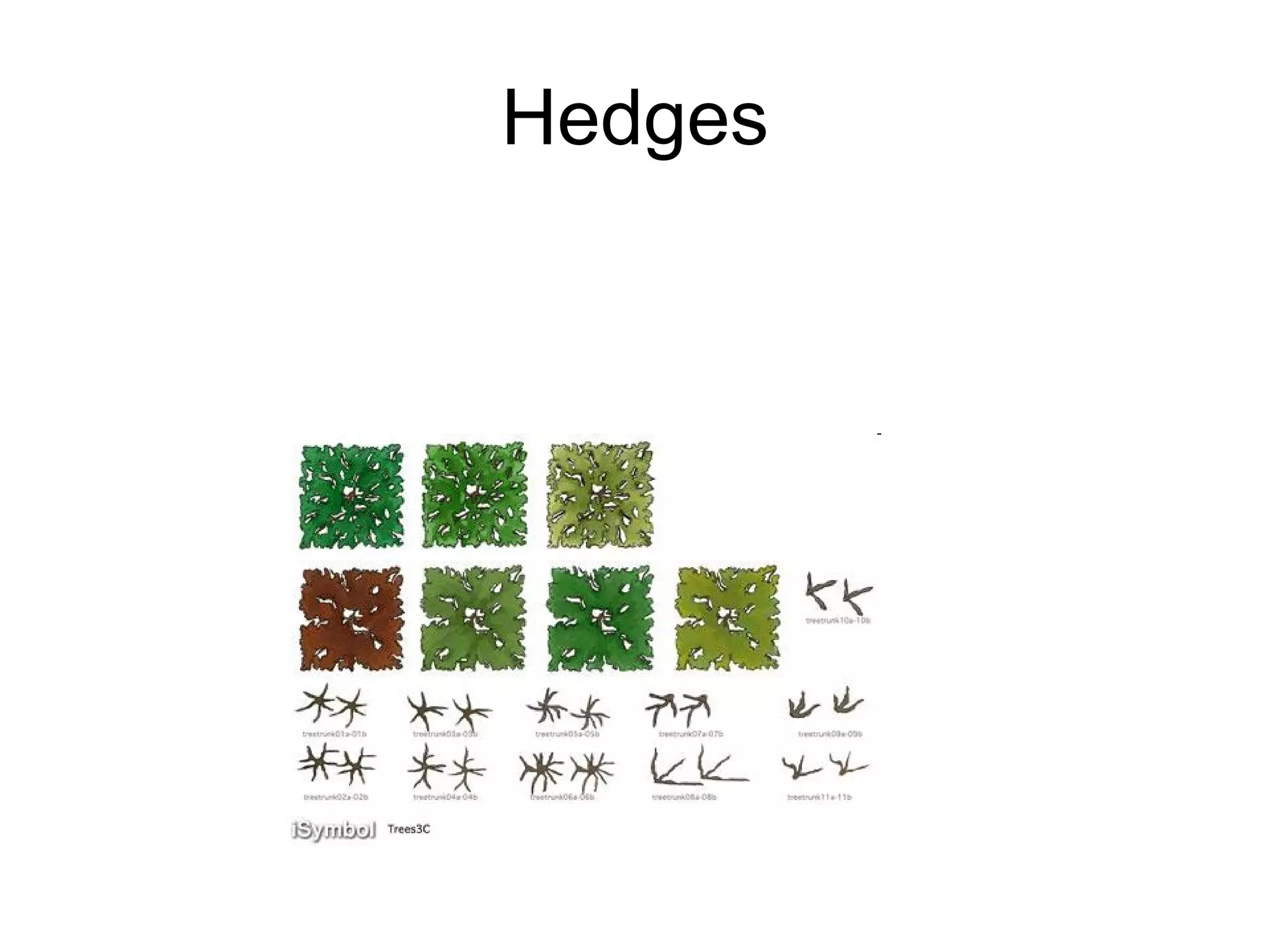 Hedges