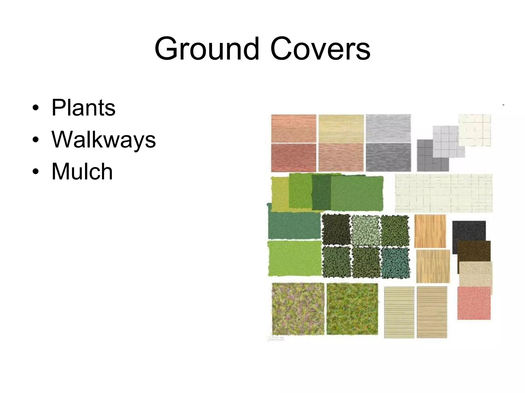 Ground Covers Plants Walkways Mulch