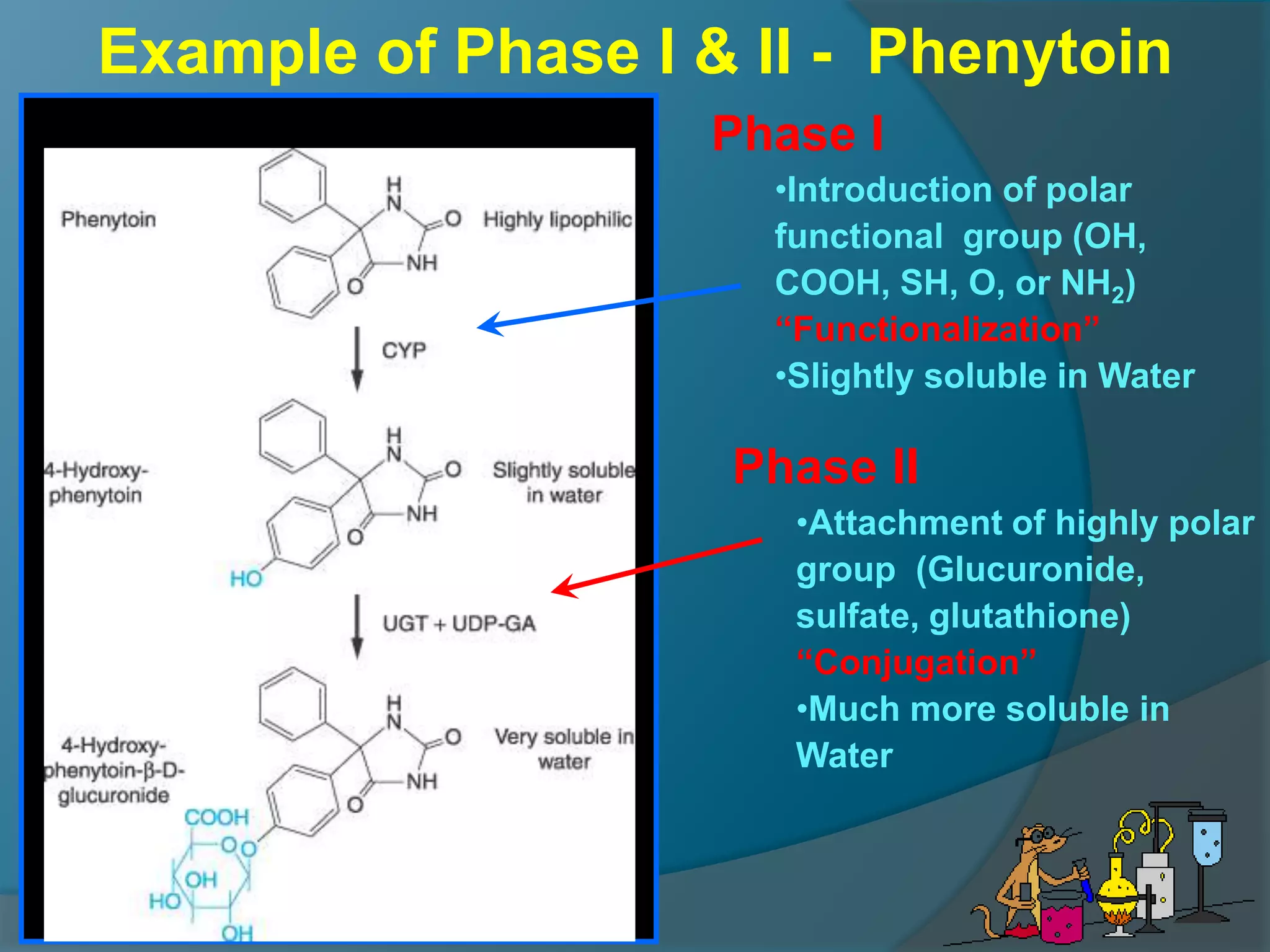 4.drug metabolism ns_15