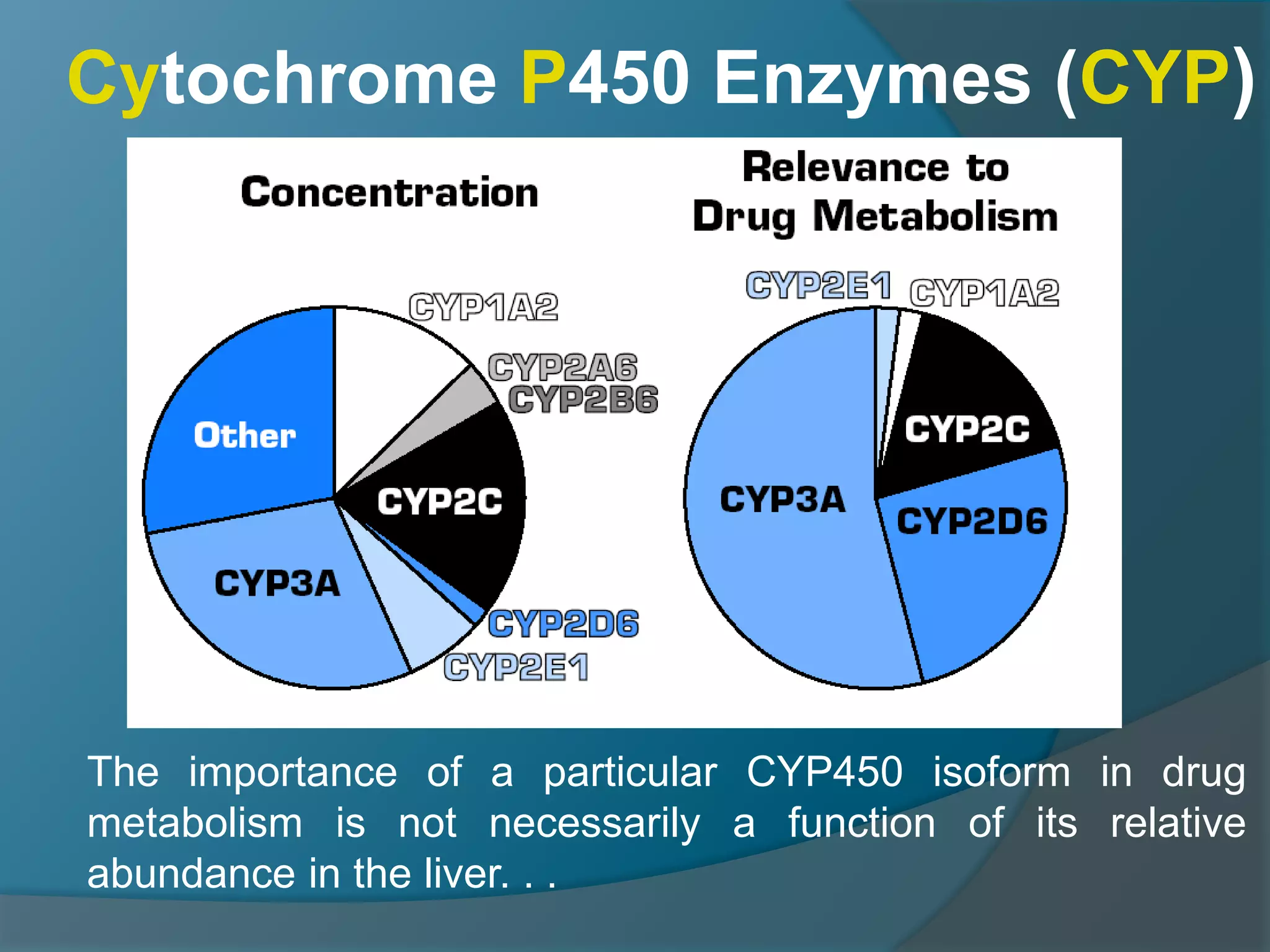 4.drug metabolism ns_15