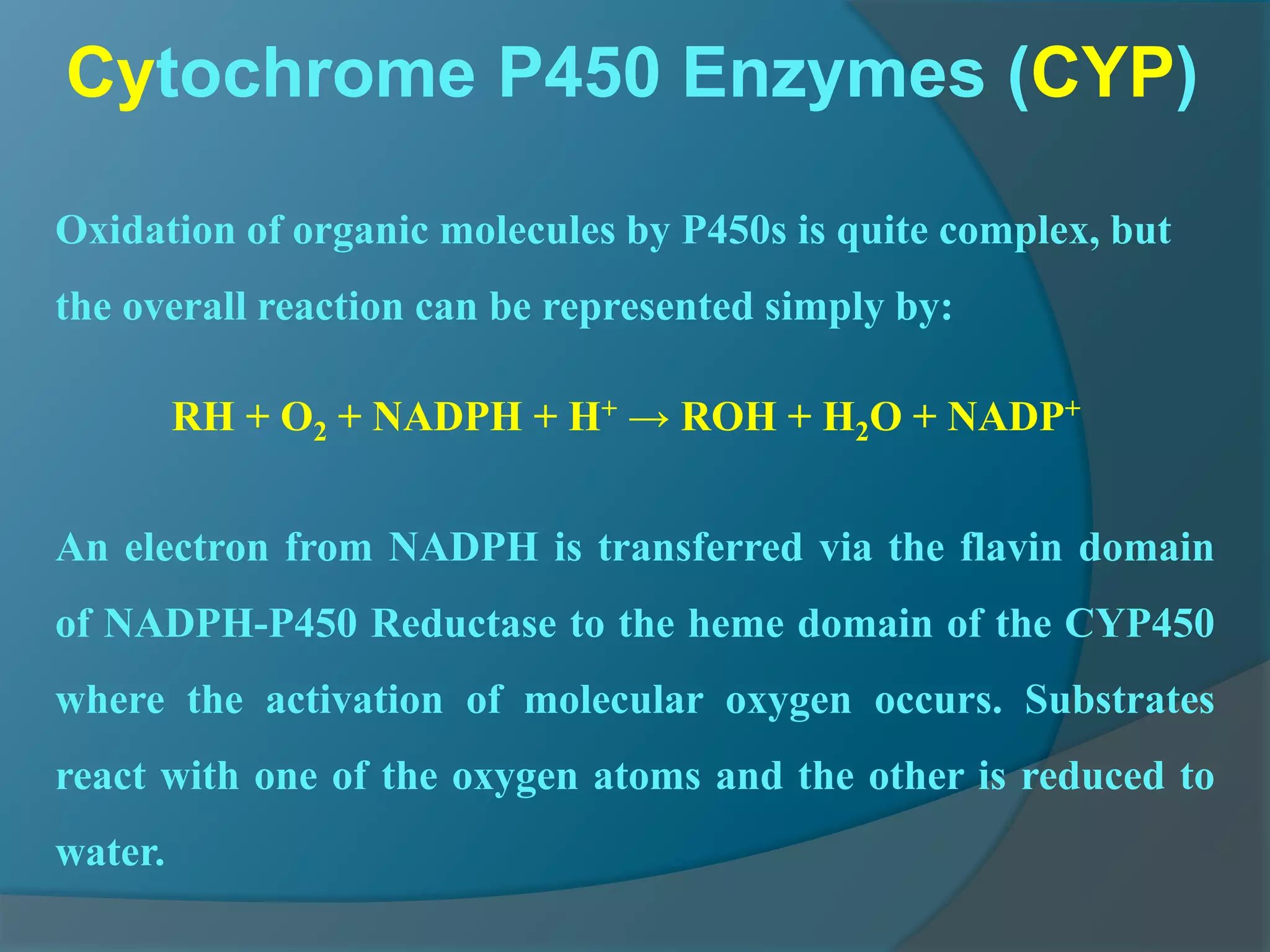 4.drug metabolism ns_15