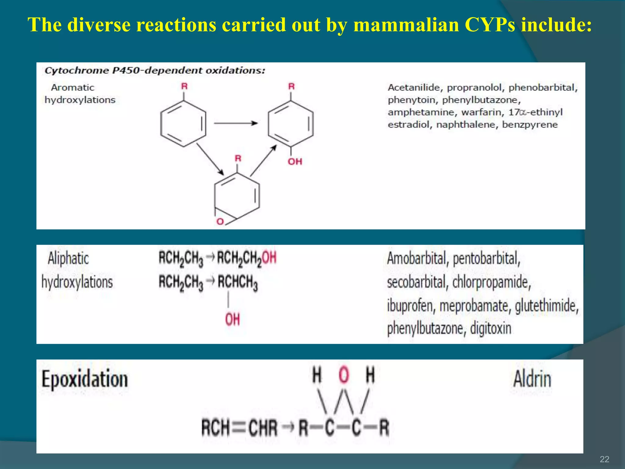 4.drug metabolism ns_15