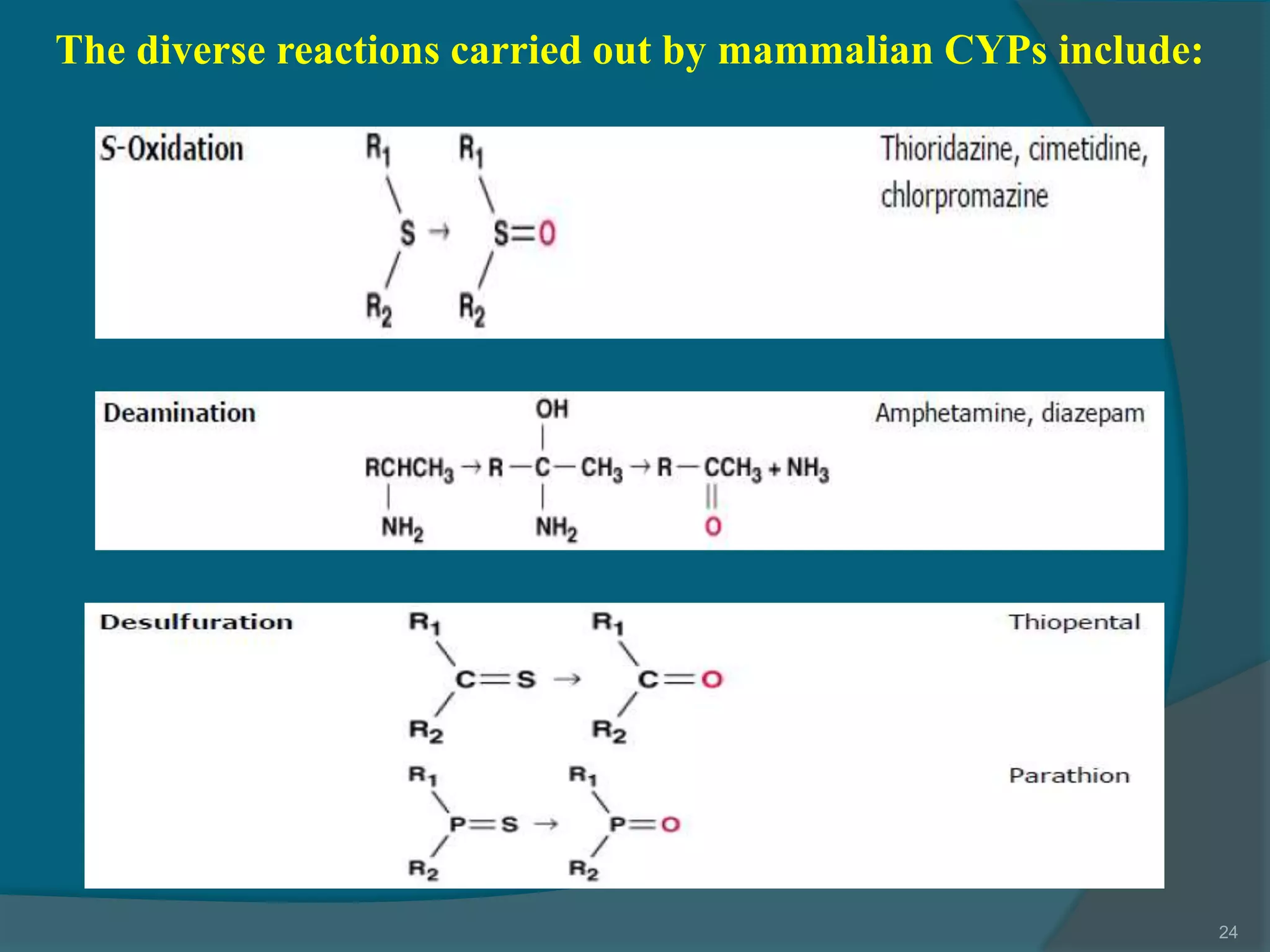 4.drug metabolism ns_15