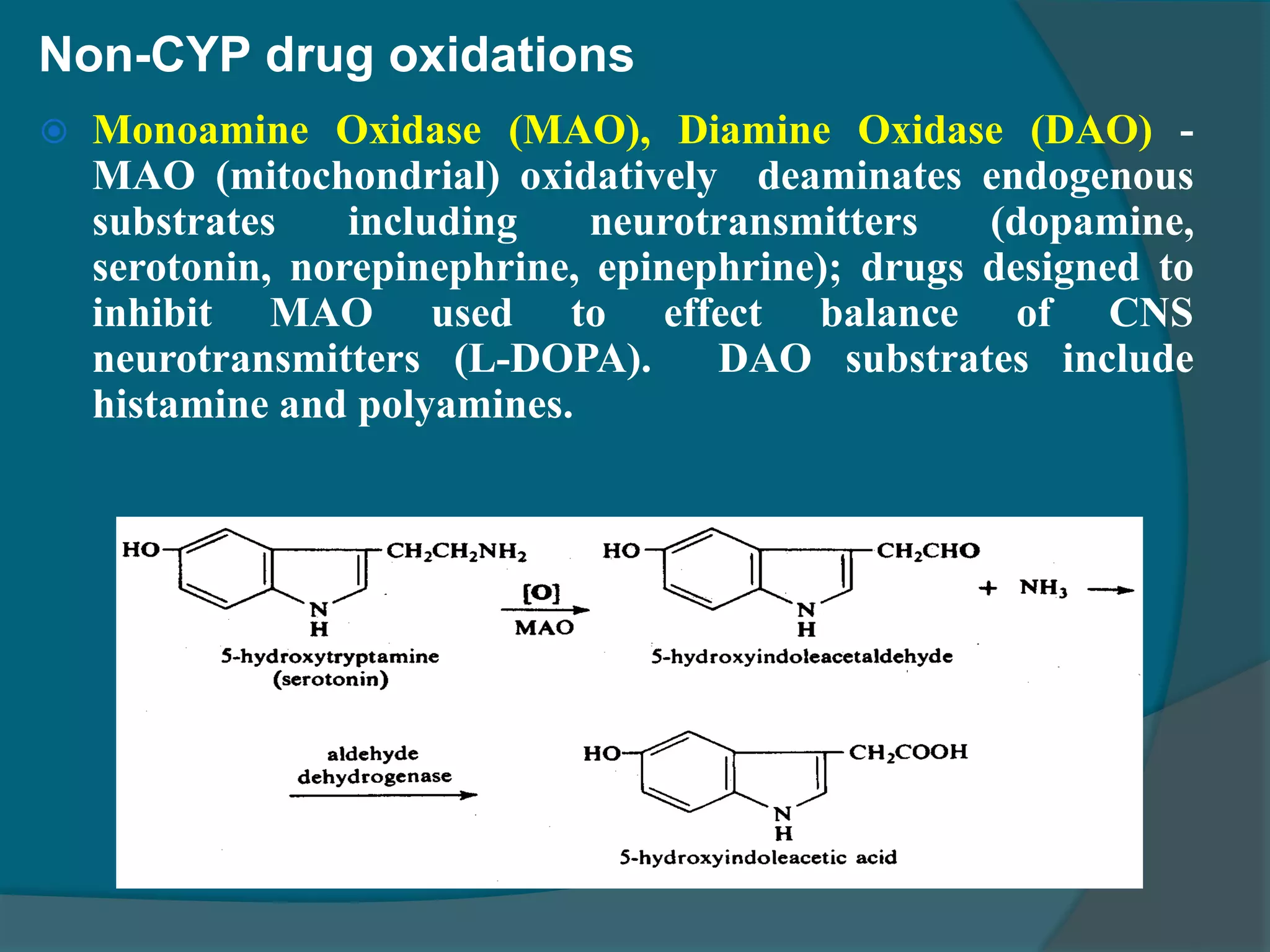 4.drug metabolism ns_15