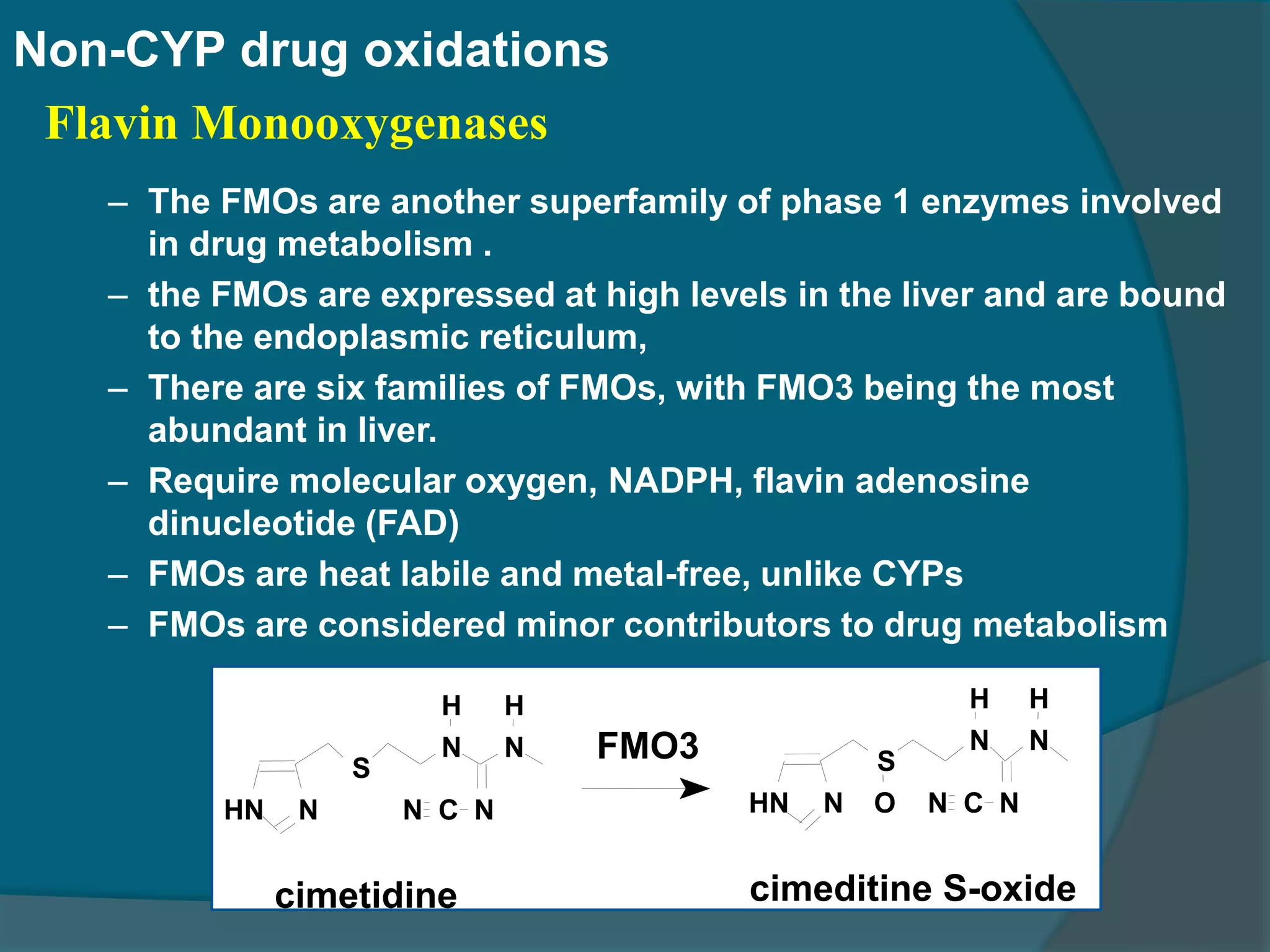 4.drug metabolism ns_15