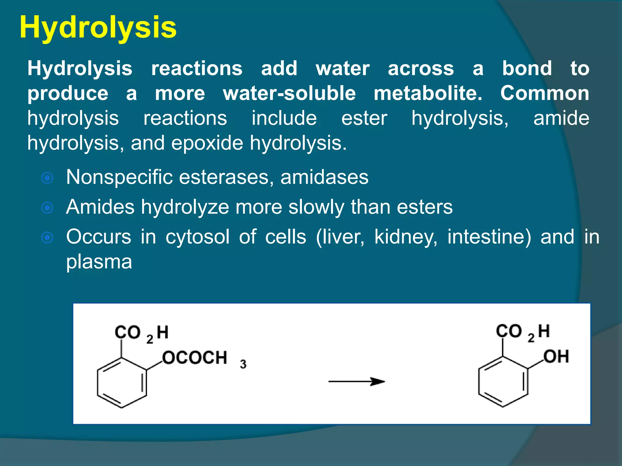 4.drug metabolism ns_15