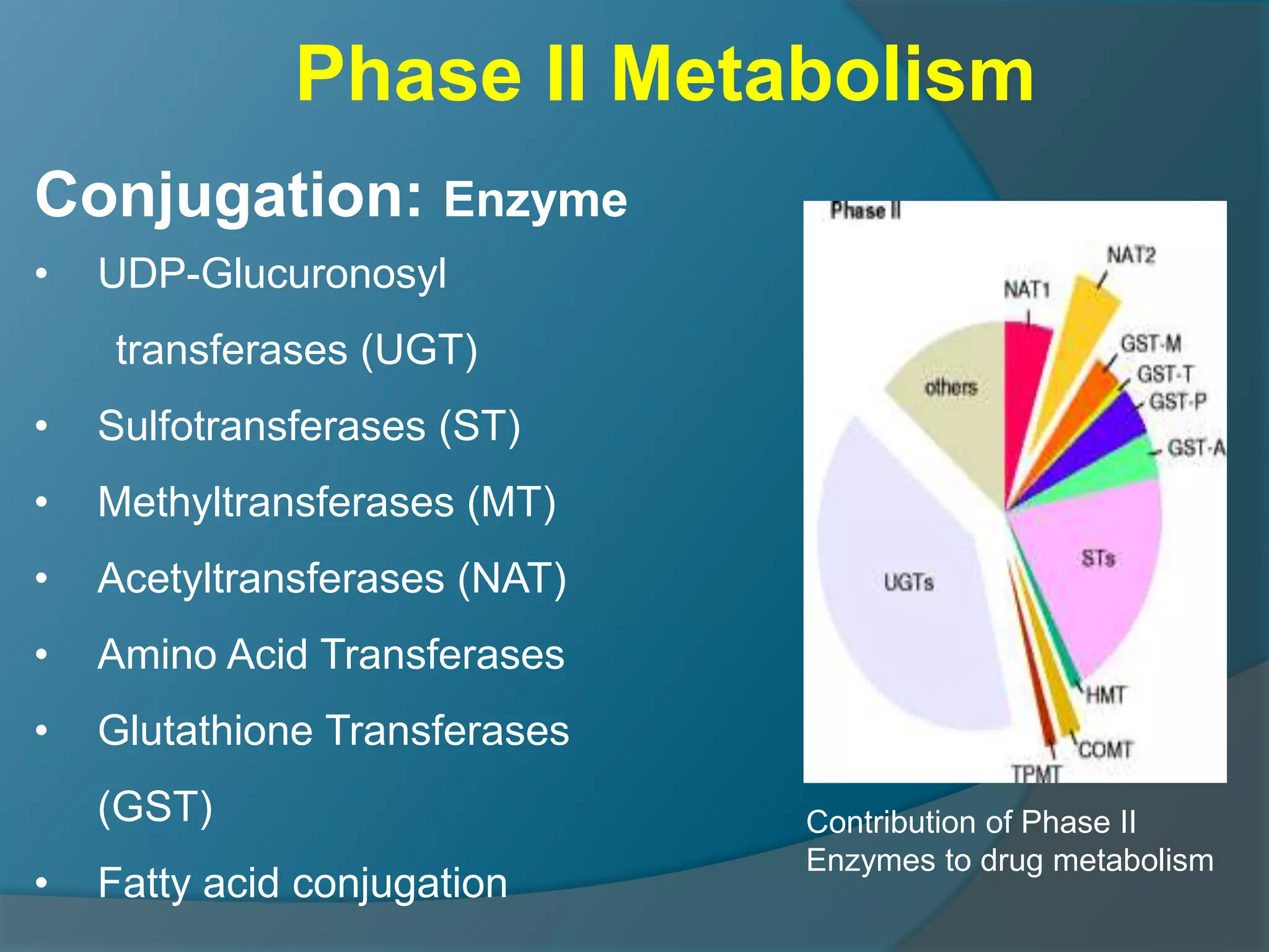 4.drug metabolism ns_15
