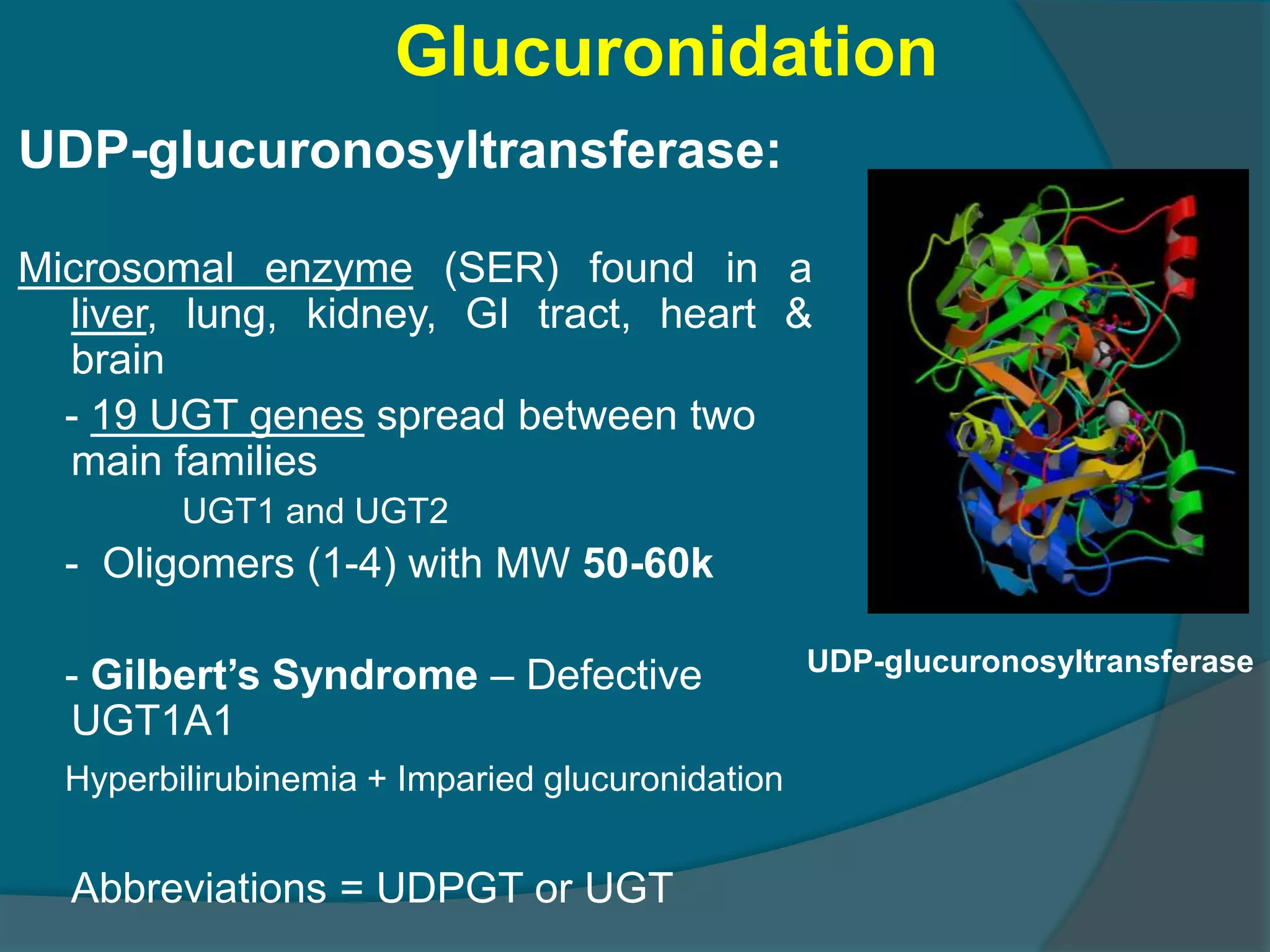 4.drug metabolism ns_15