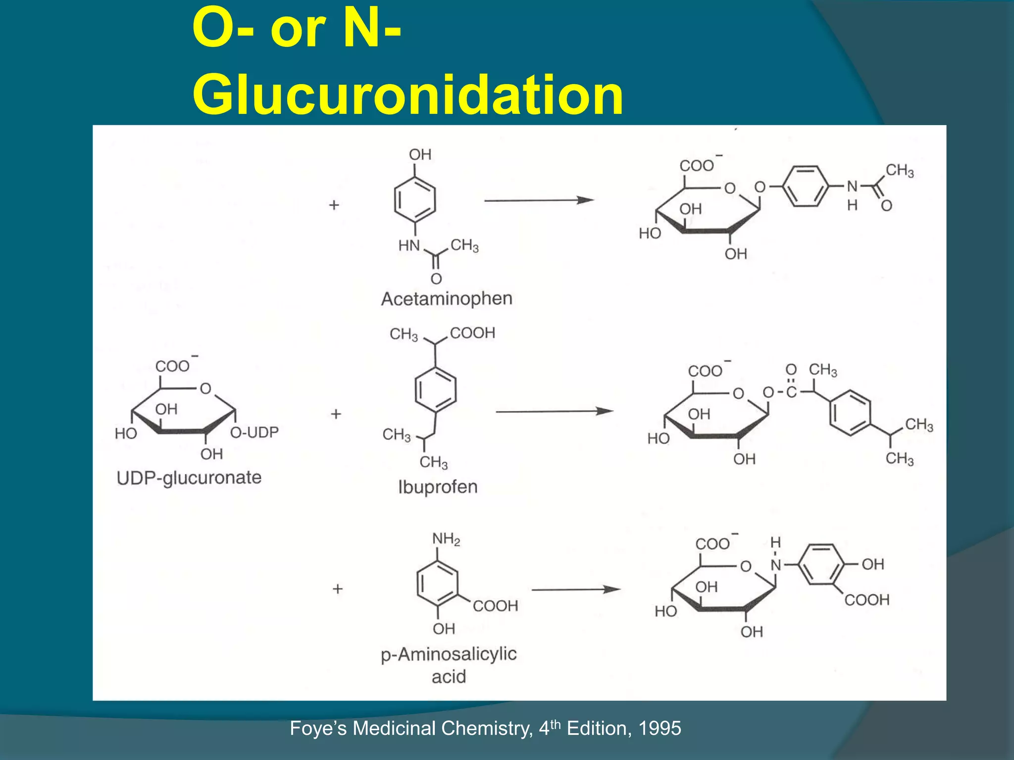 4.drug metabolism ns_15