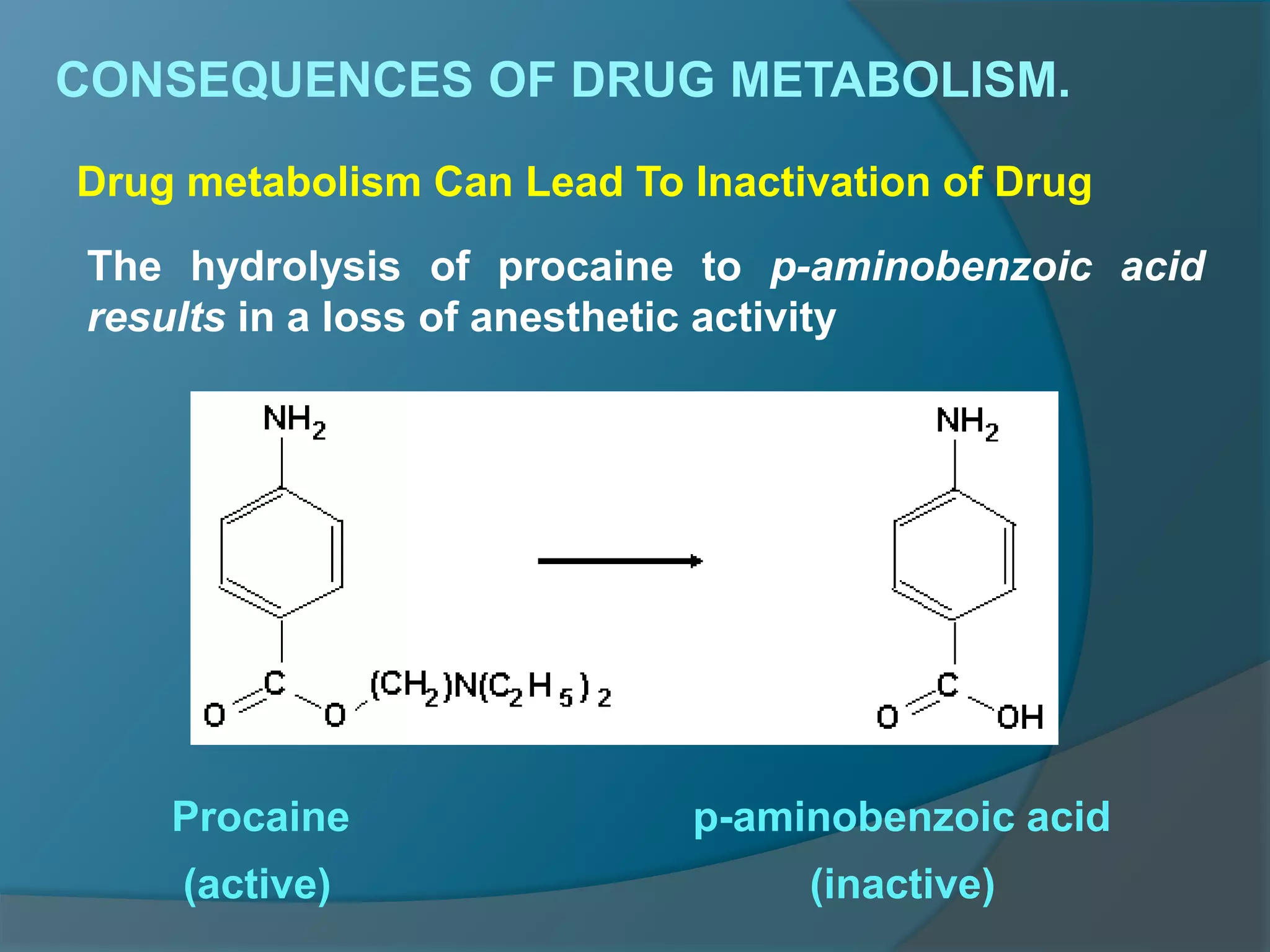 4.drug metabolism ns_15