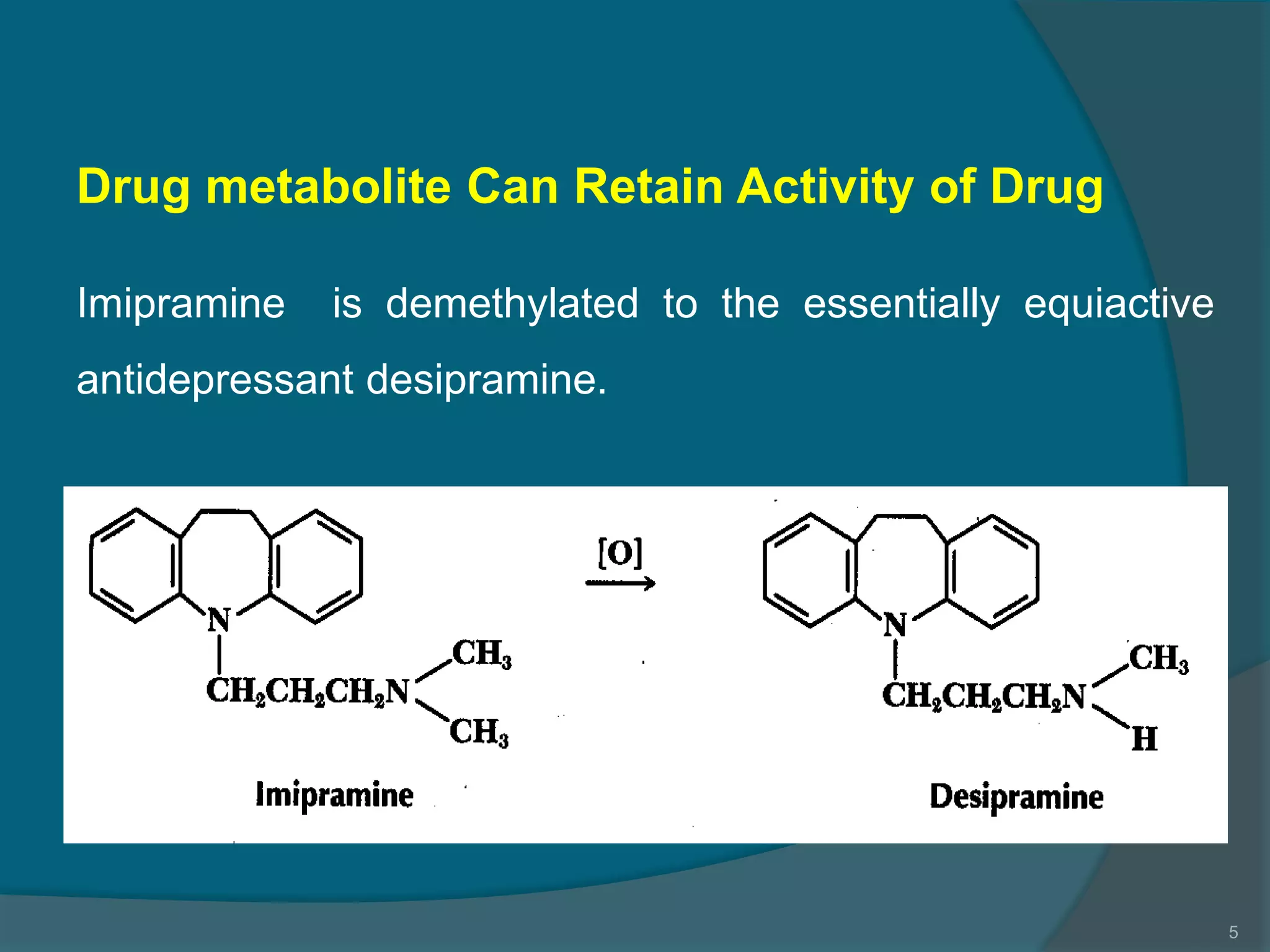 4.drug metabolism ns_15