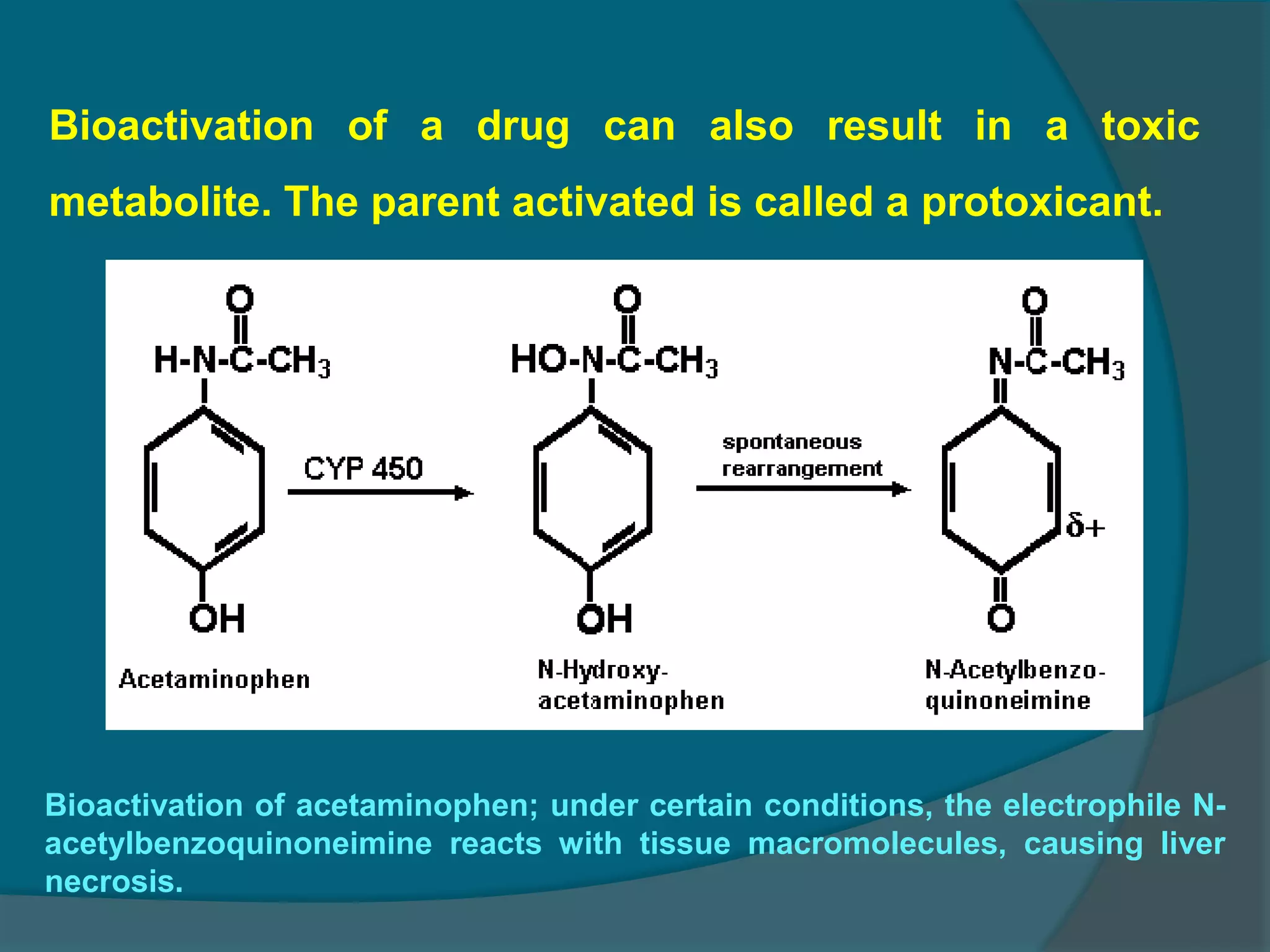 4.drug metabolism ns_15