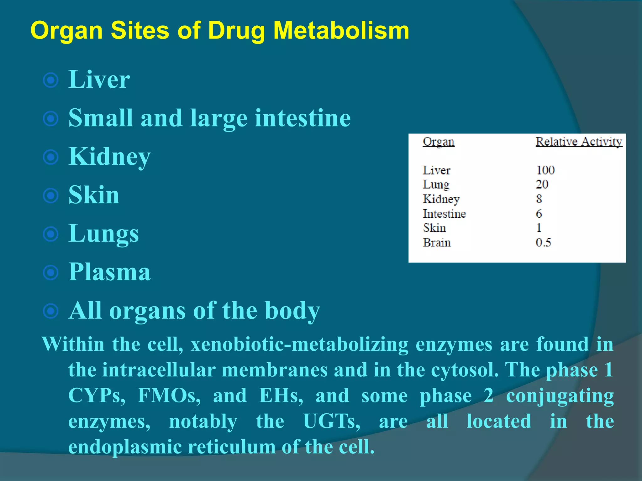 4.drug metabolism ns_15