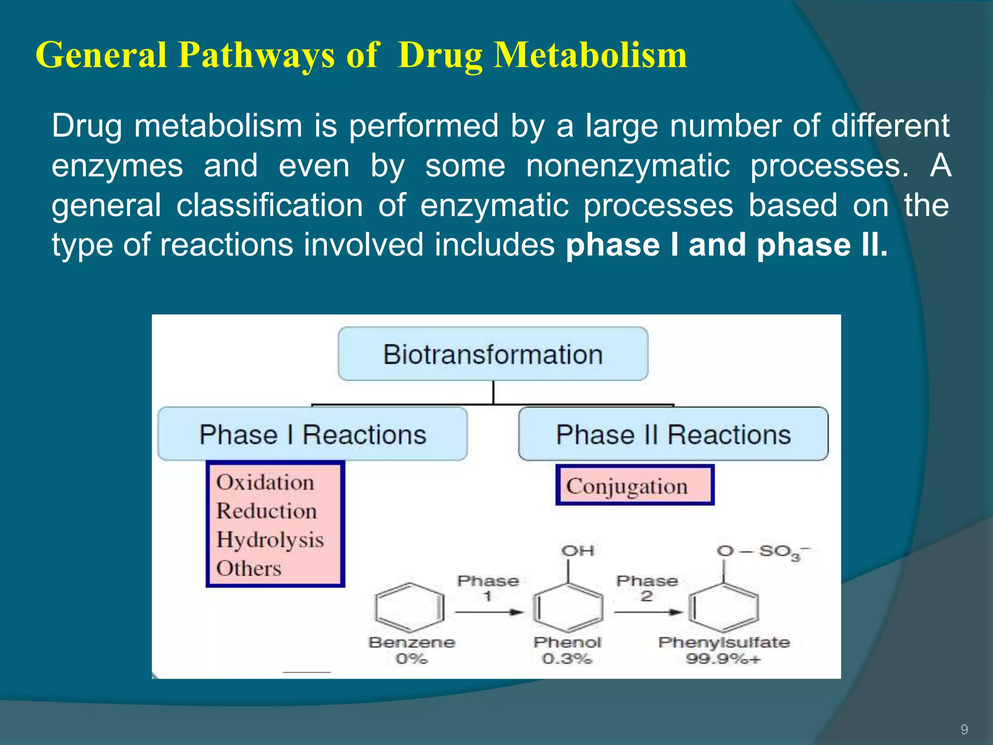4.drug metabolism ns_15