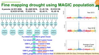 Research Program Genetic Gains (RPGG) Review Meeting 2021: From Discovery to Delivery: A Story of Chickpea By Dr Mahendar Thudi