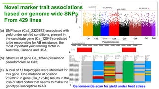Research Program Genetic Gains (RPGG) Review Meeting 2021: From Discovery to Delivery: A Story of Chickpea By Dr Mahendar Thudi